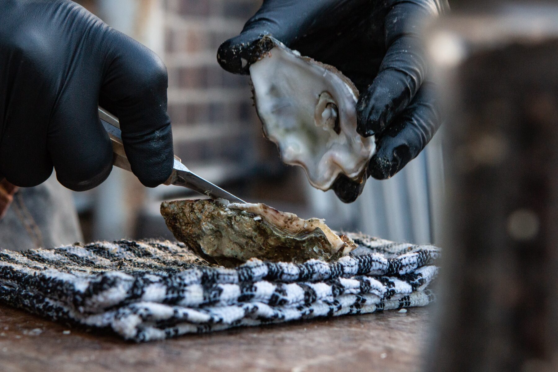 mooiste plekken van Kroatië voor oesterliefhebbers