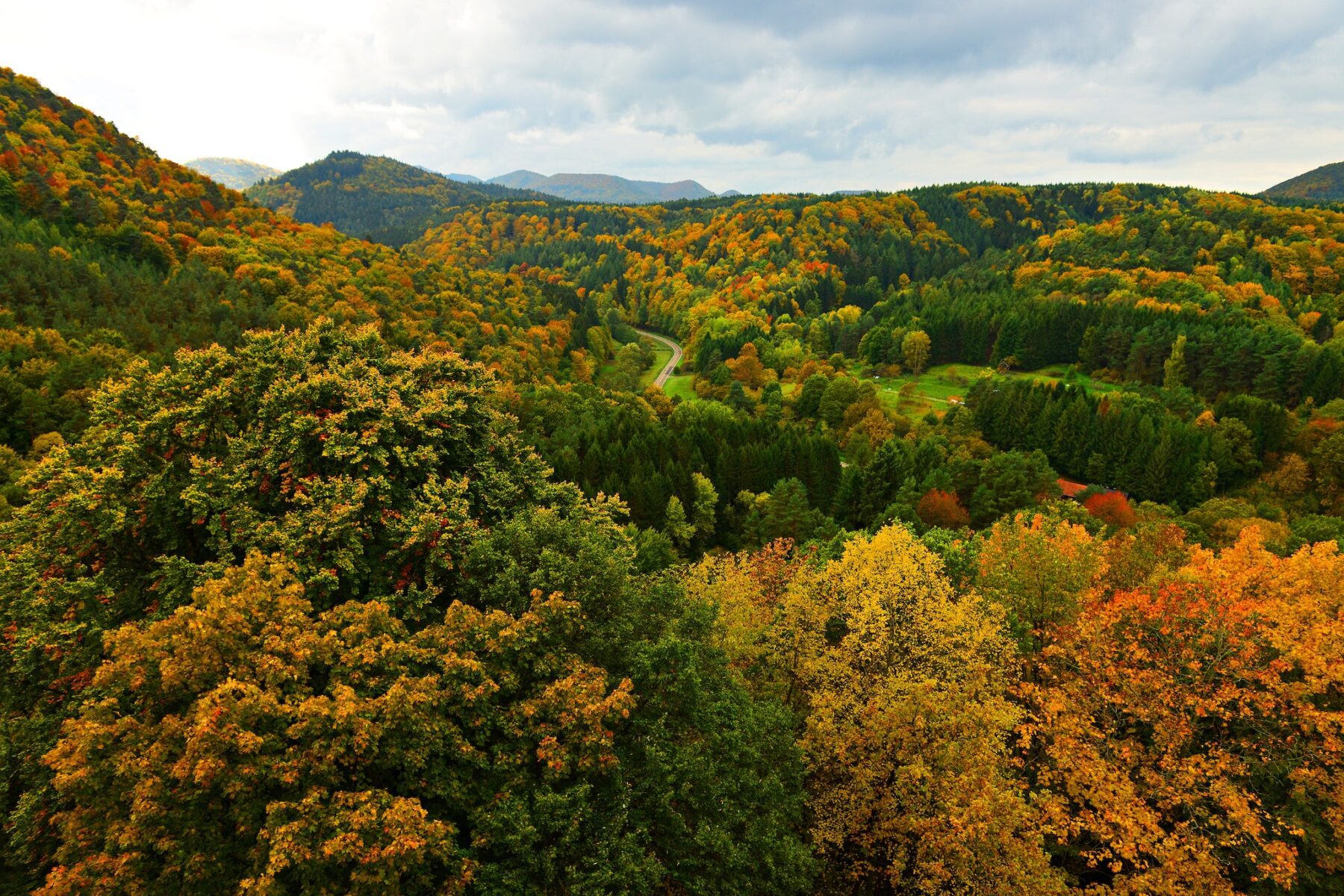 Erlenbach wijnroute - Baden-Württemberg