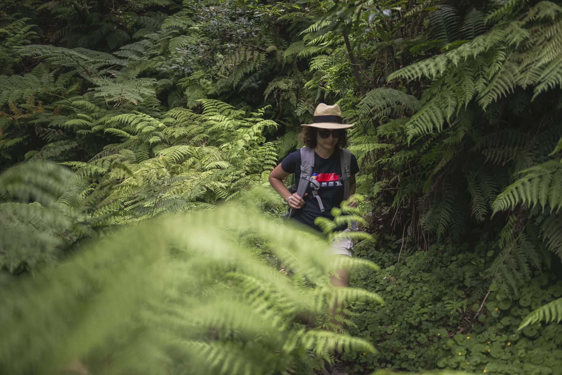 Levada Madeira