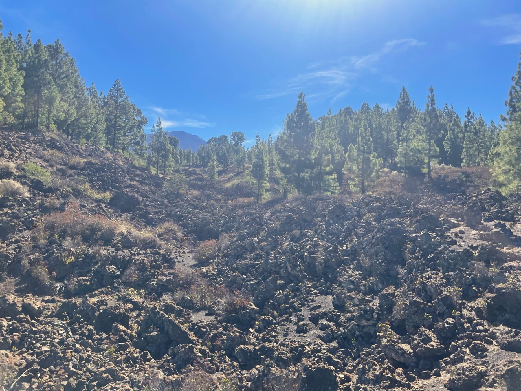 Vulkanisch en groen op Tenerife