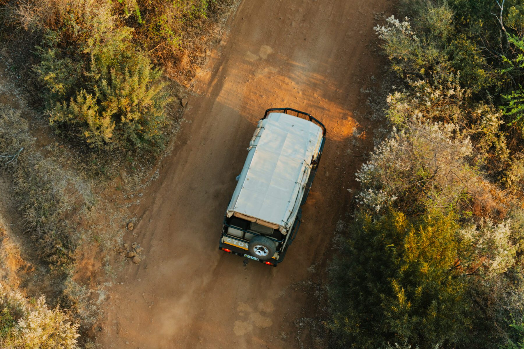 Pilanesberg game drive