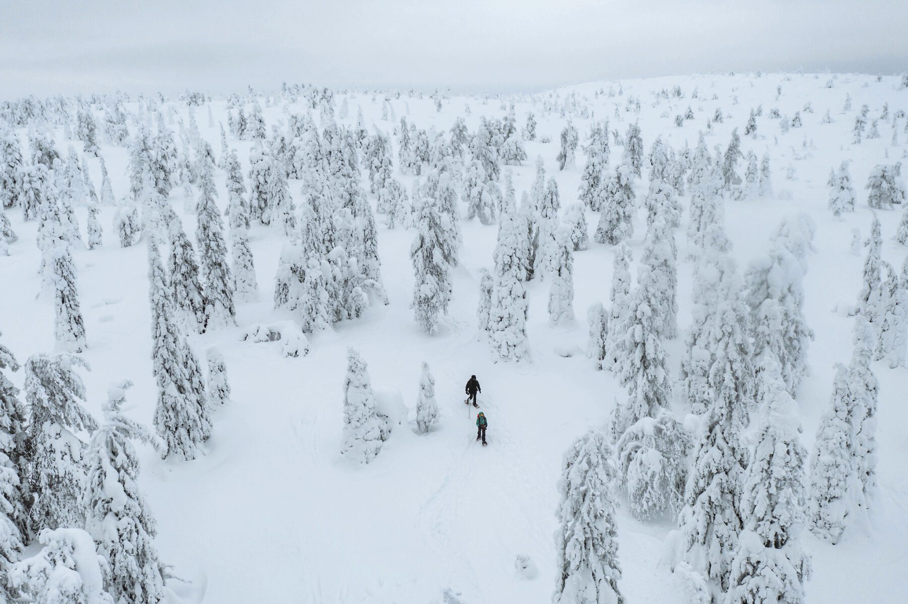 The Lapland Trail drone shot-sneeuwschoenwandelen