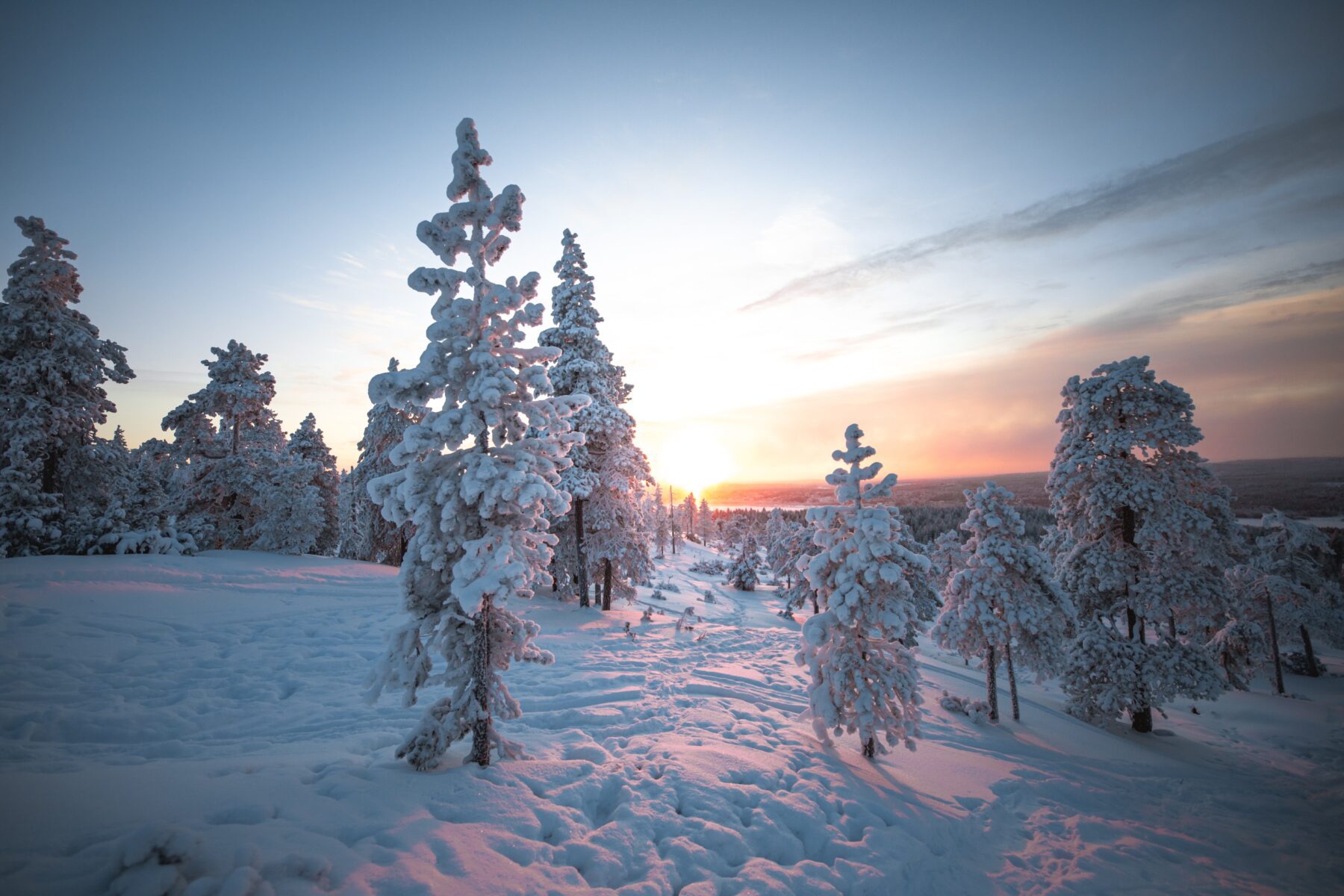 The Lapland Trail