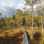 Bruksleden trail