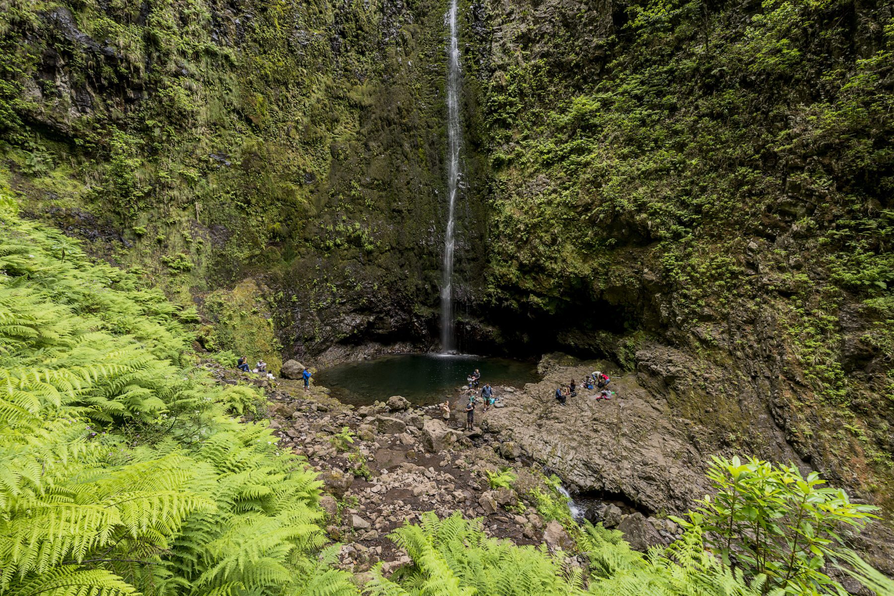 Levada do Caldeirão Verde Madeira