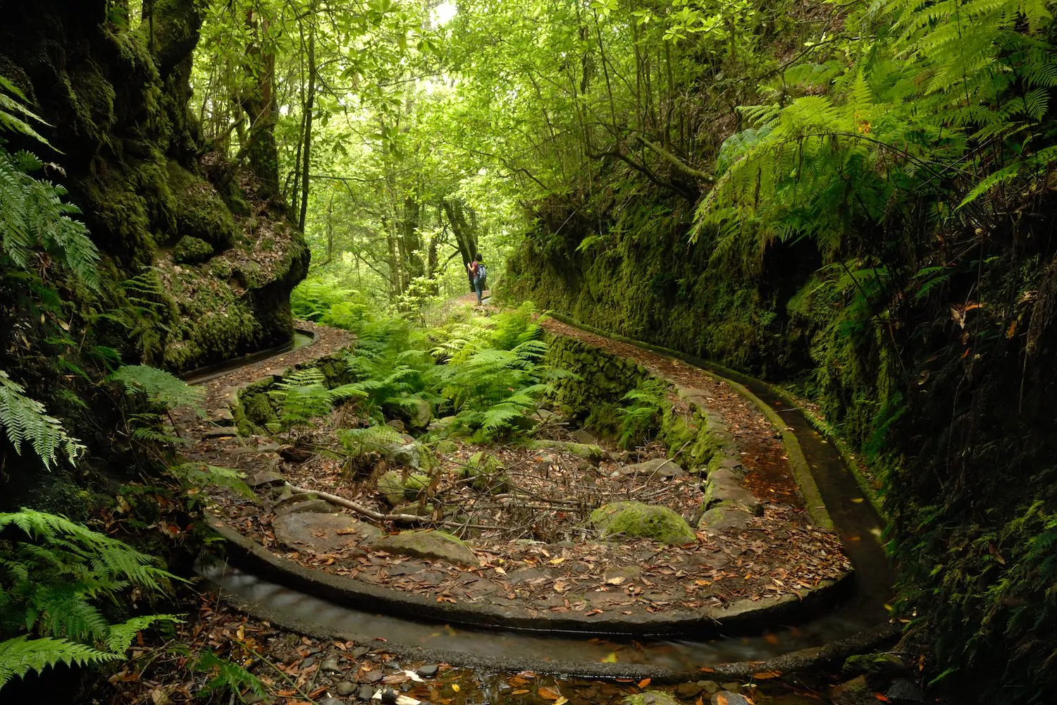 levada dos Cedros Madeira