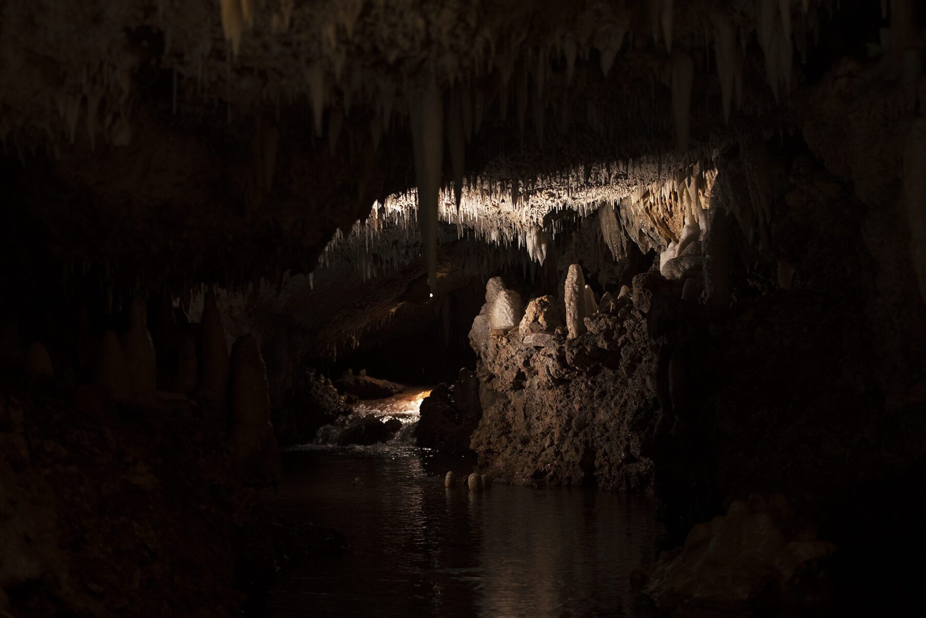 Harrisons Cave Barbados