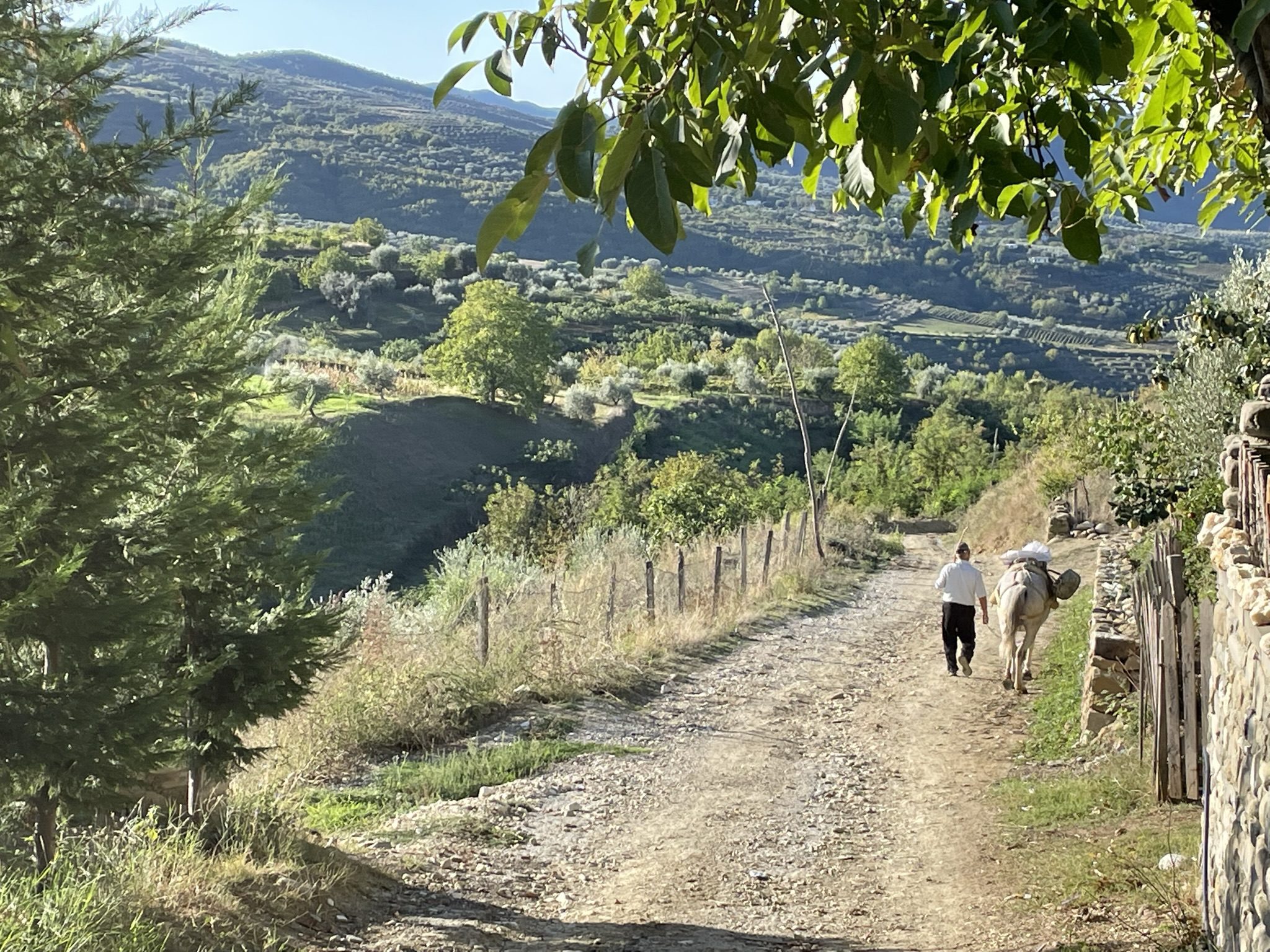 Trailrunnen in Albanië - man met paard