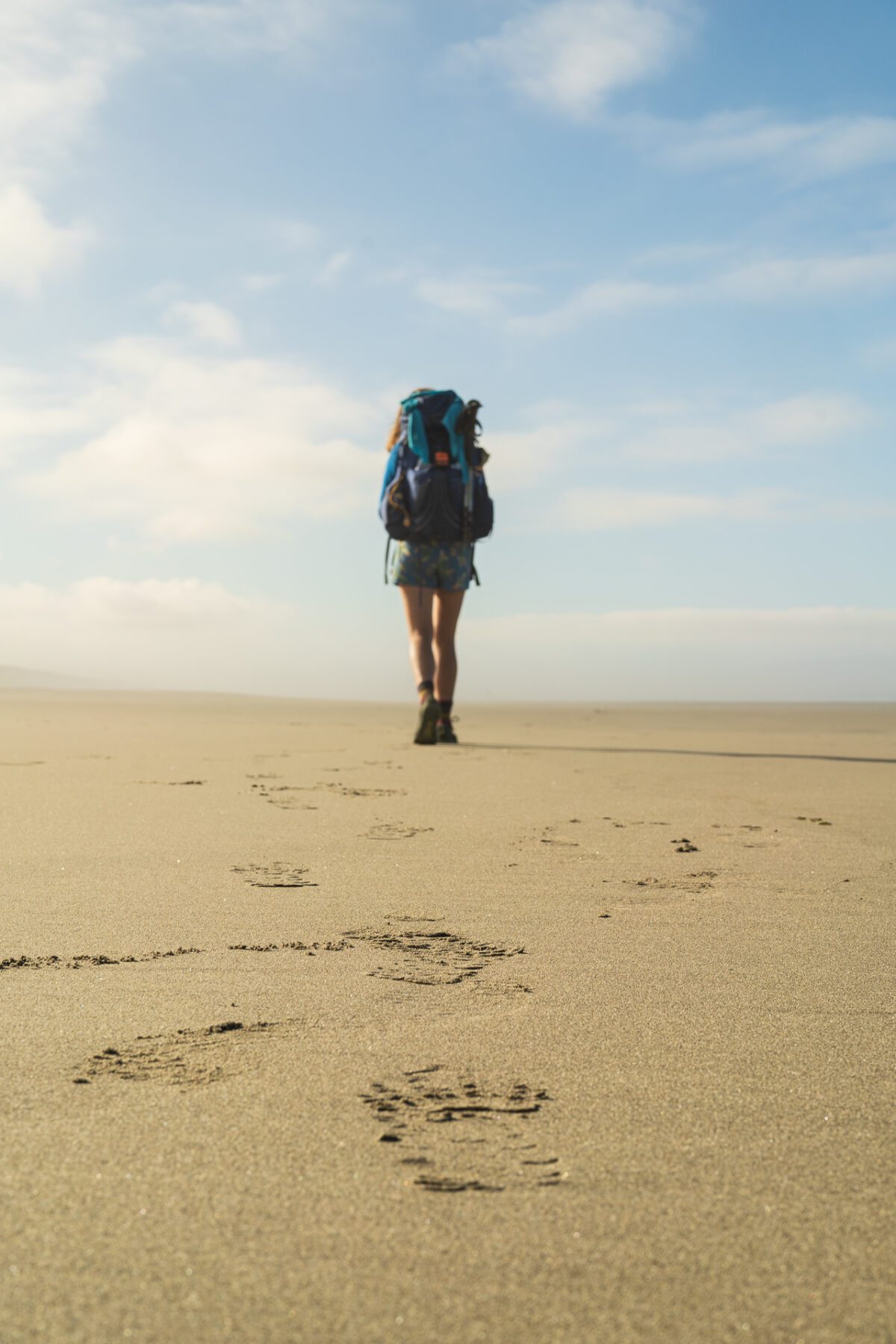 Oregon coast trail