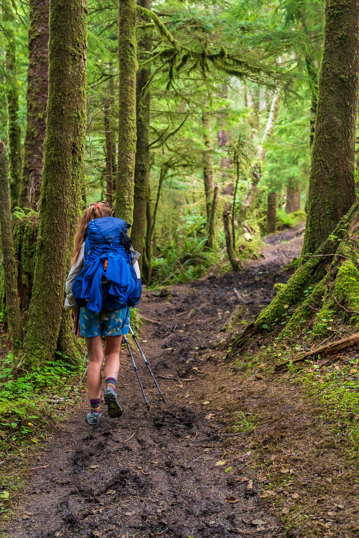 Oregon coast trail