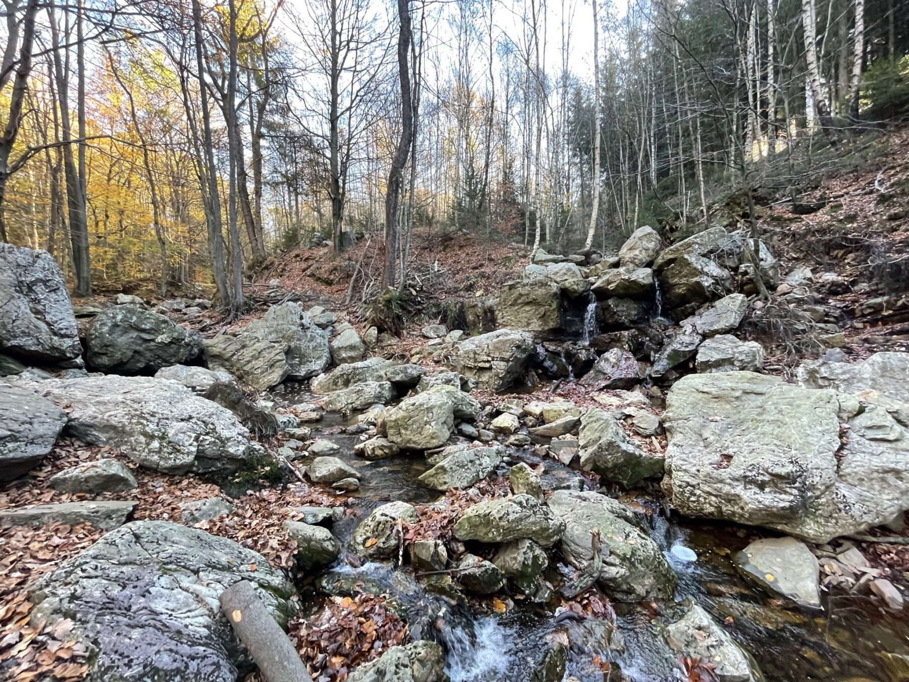 Cascade des Nutons