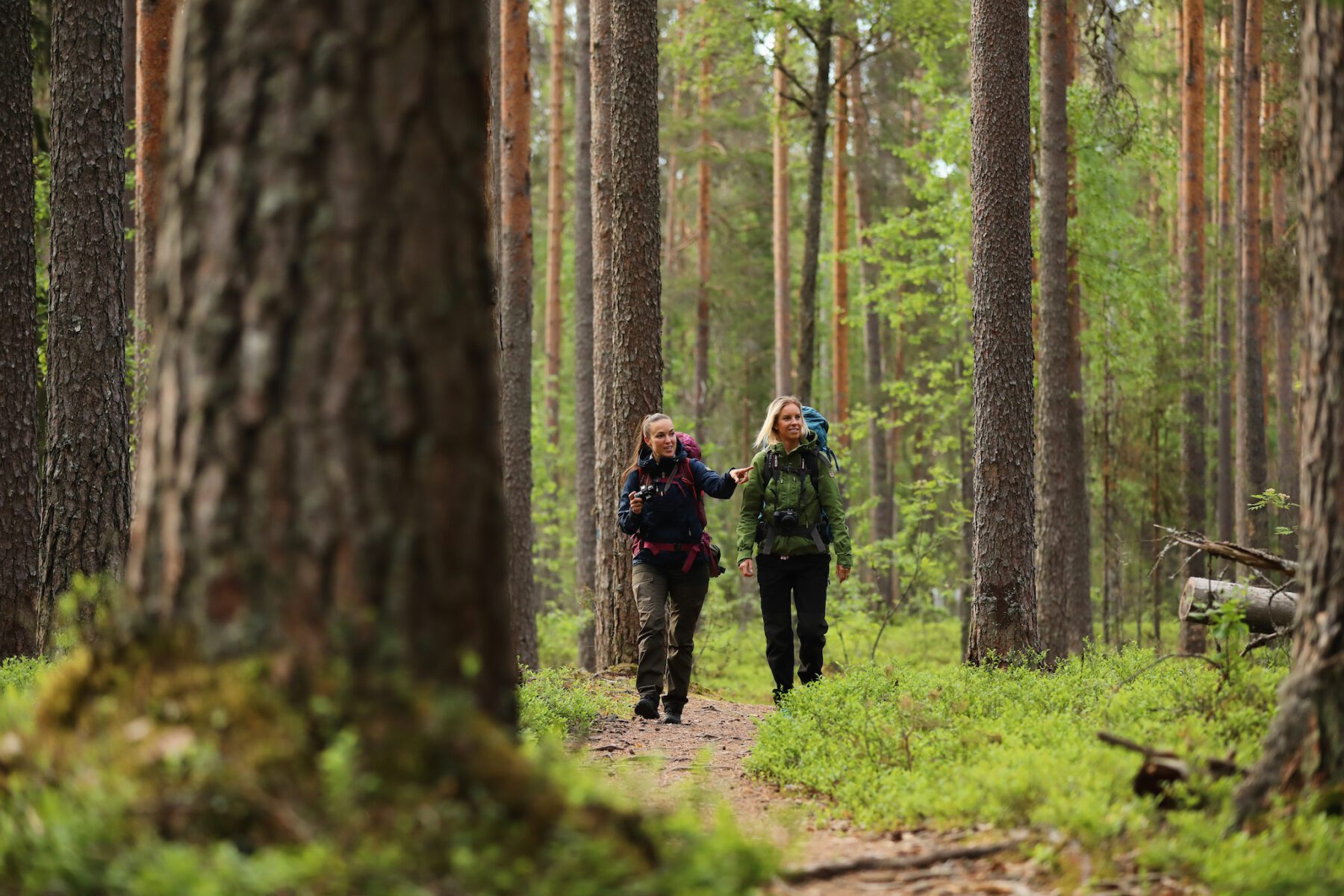 hiking Karelië
