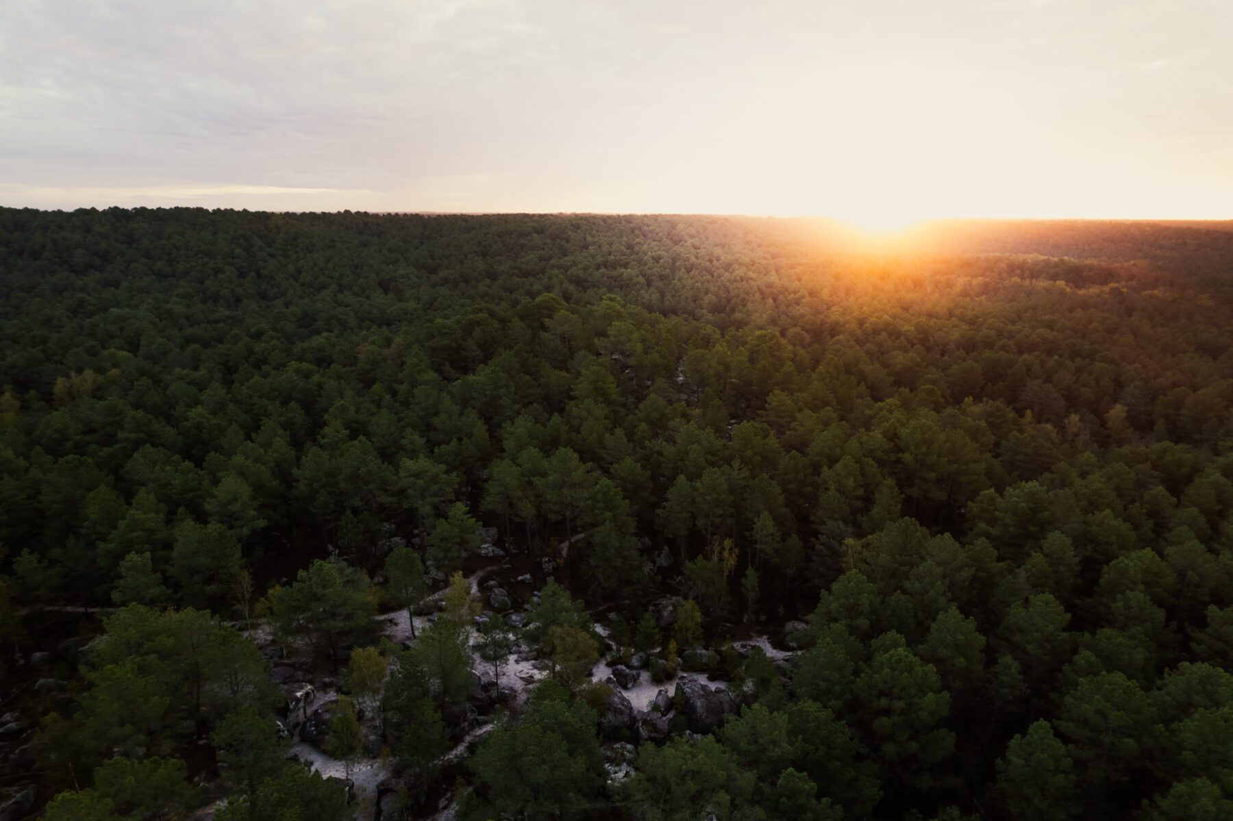 Fontainebleau