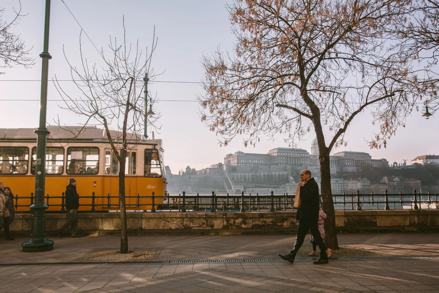 donau tram