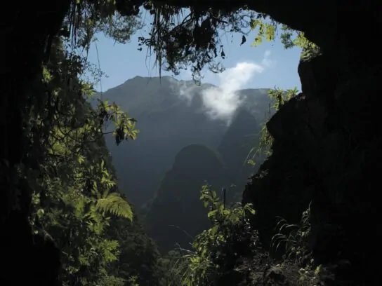Levada do Caldeirao Verde - Madeira
