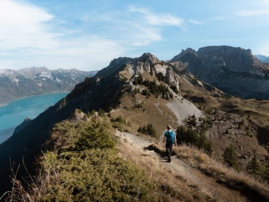 wandelen op schynige platte