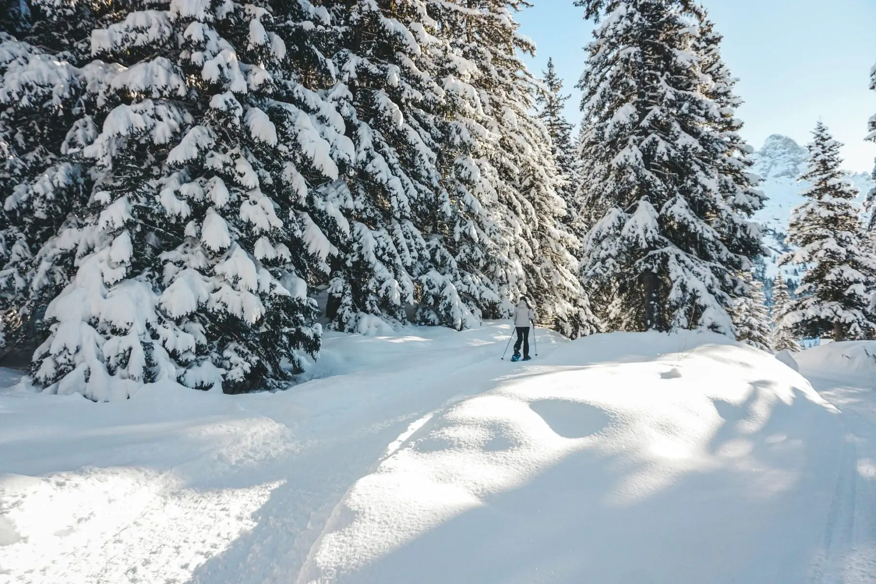 sneeuwschoen hiken