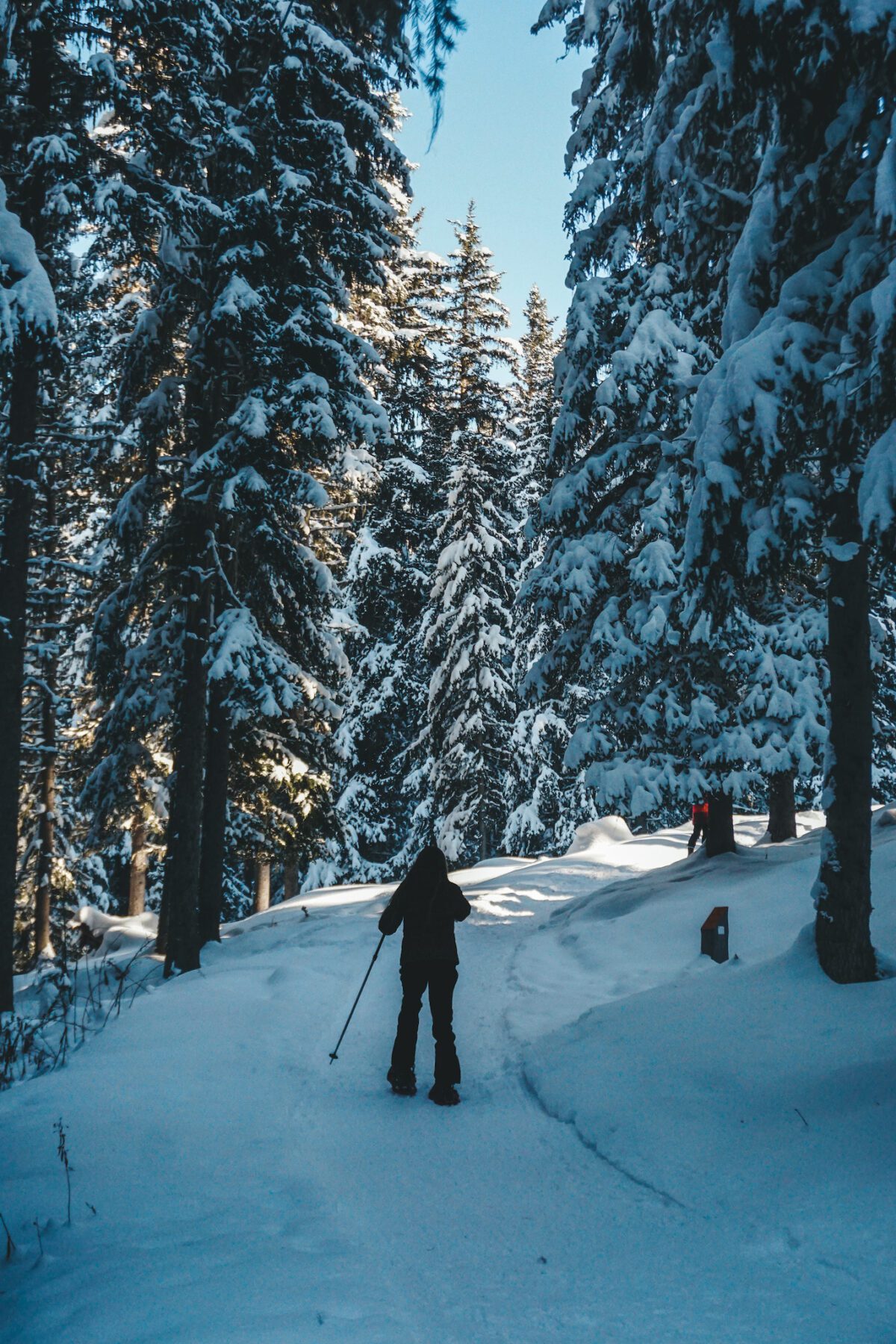 sneeuwschoen hiken in Méribel