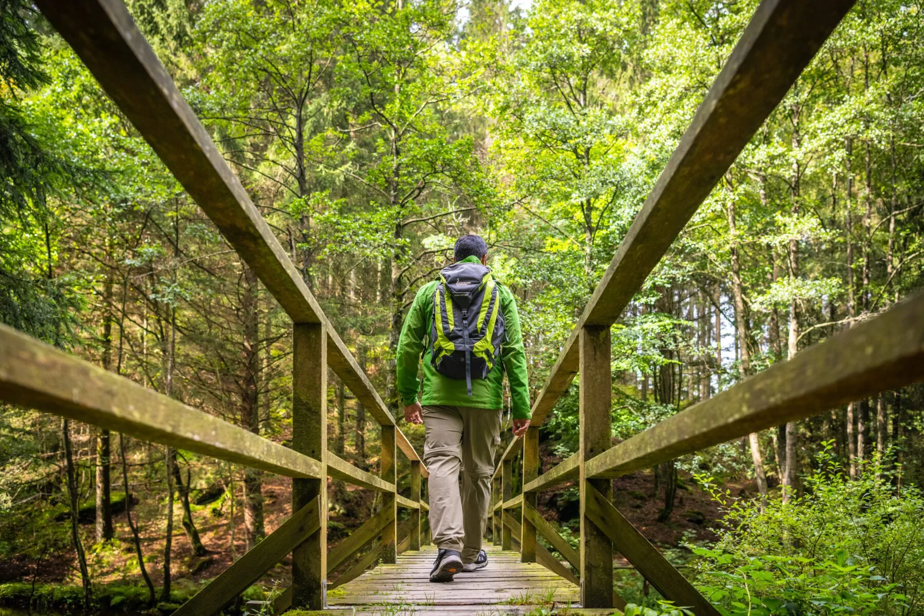 Wandeling door de Eifel