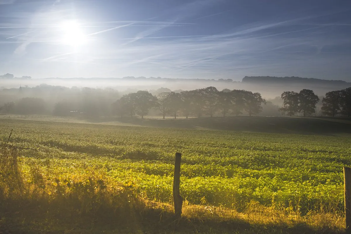 Wandelen in Zuid-Limburg kan zo mooi zijn. Dankzij de glooiende landschappen waan je je even in het buitenland.