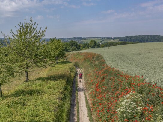 Wandelen Zuid-Limburg