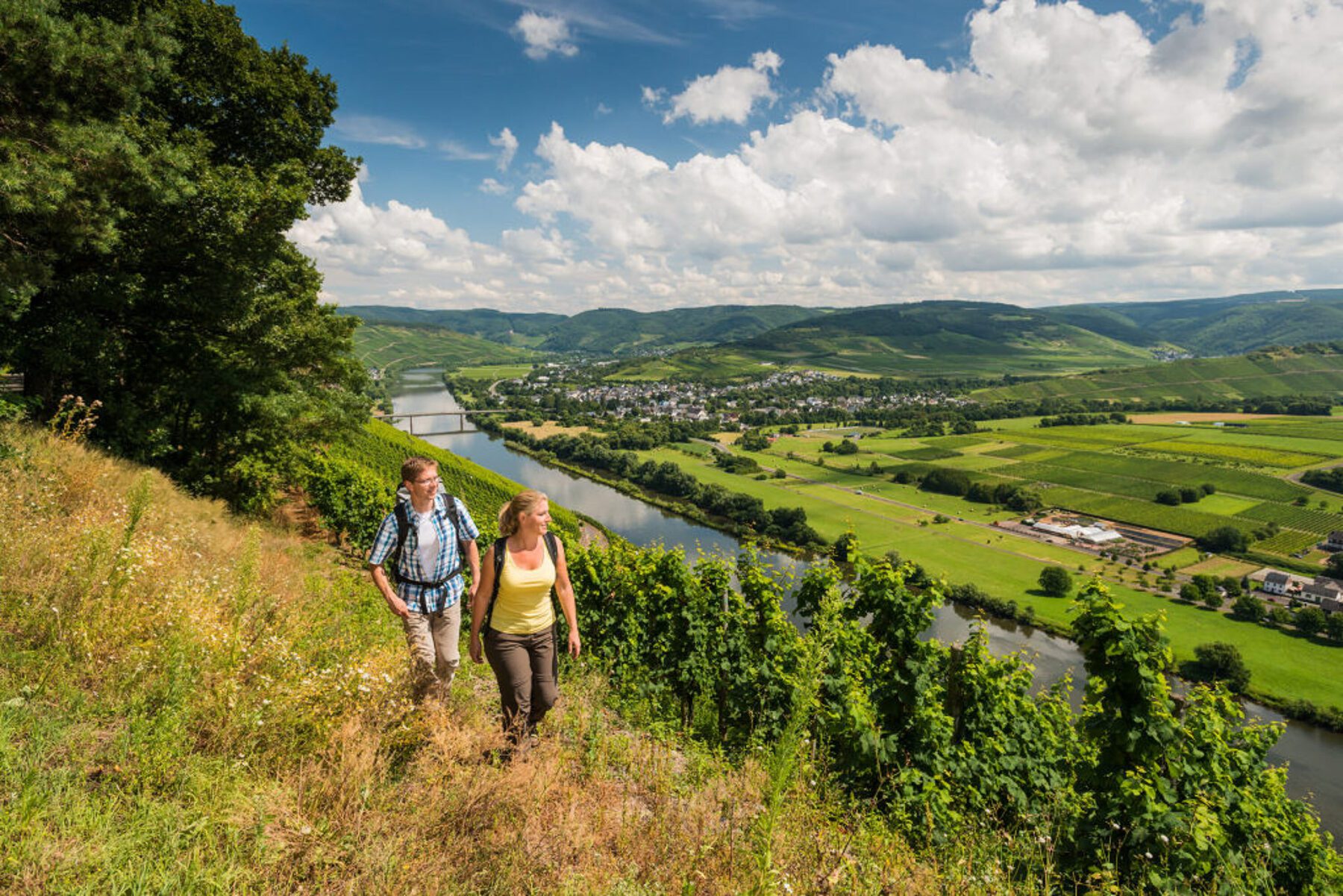 Wandelen over de Moselsteig