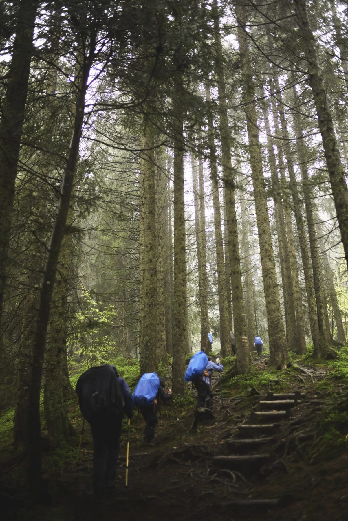 Door het bos omhoog in de regen Fjällräven Classic Germany 