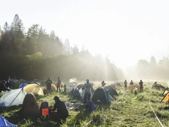 Uit de veren met zonsopkomst