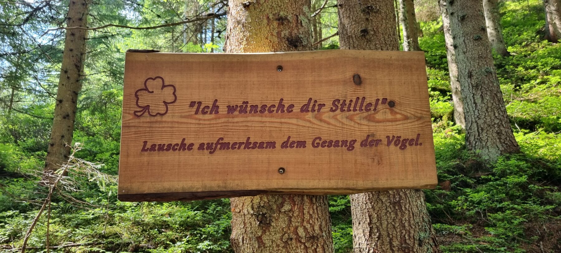 Aanmoedigende spreuken tijdens de hikes van de Salzburger Gipfelspiel