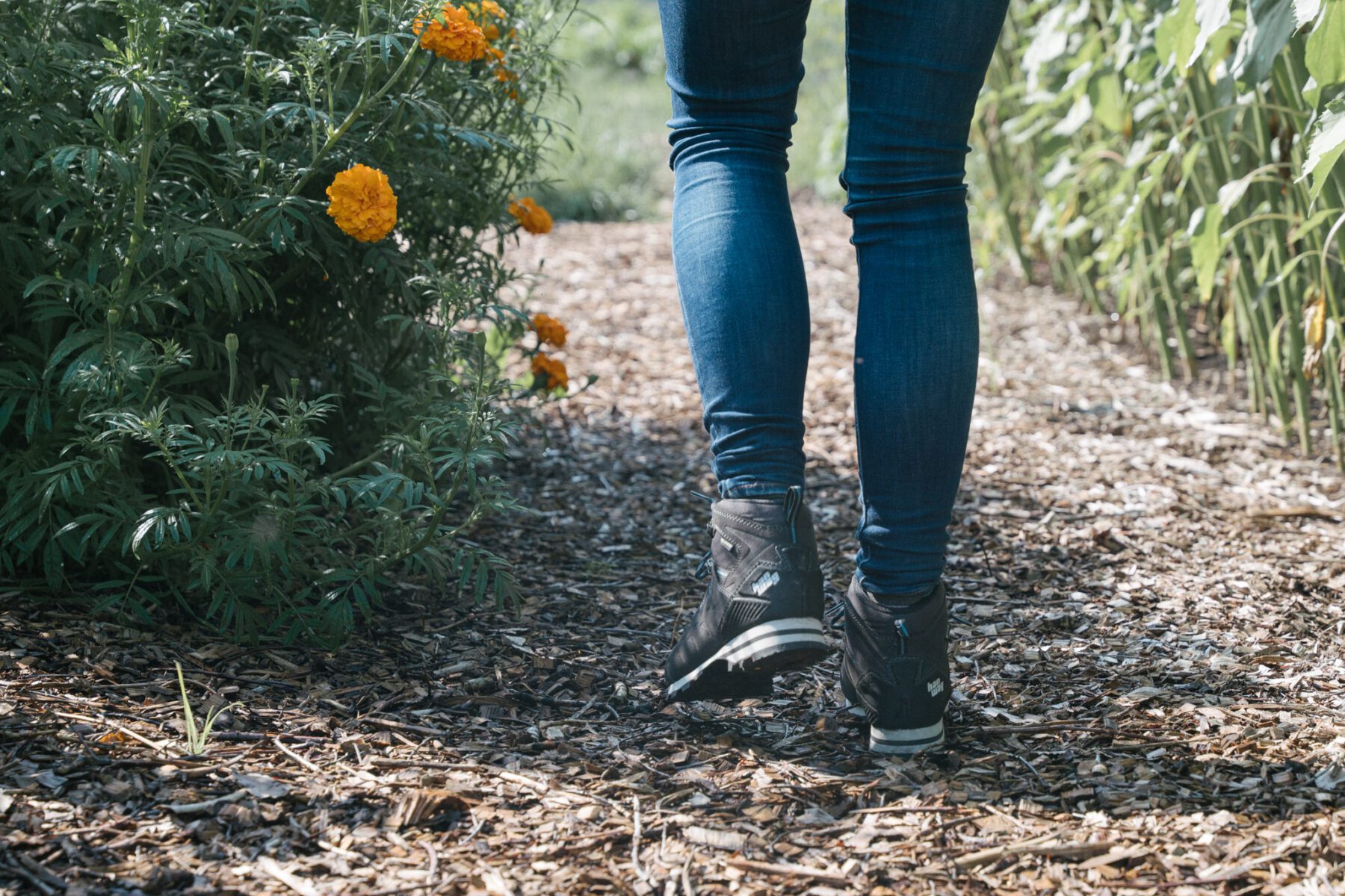 Wandelen met de Hanwag Makra Light Lady GTX 