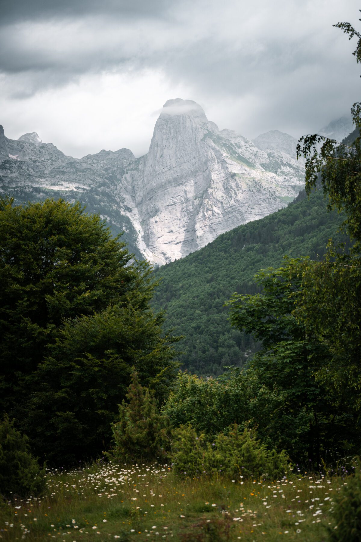 The Balkan Trail