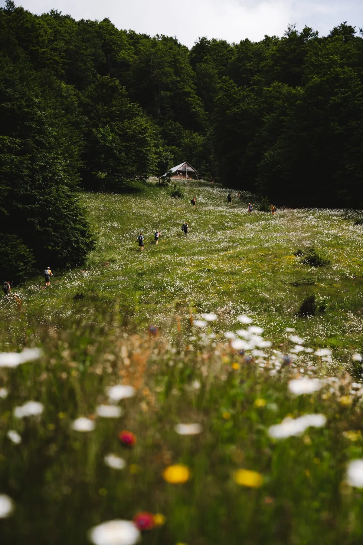 Hiken over The Balkan Trail