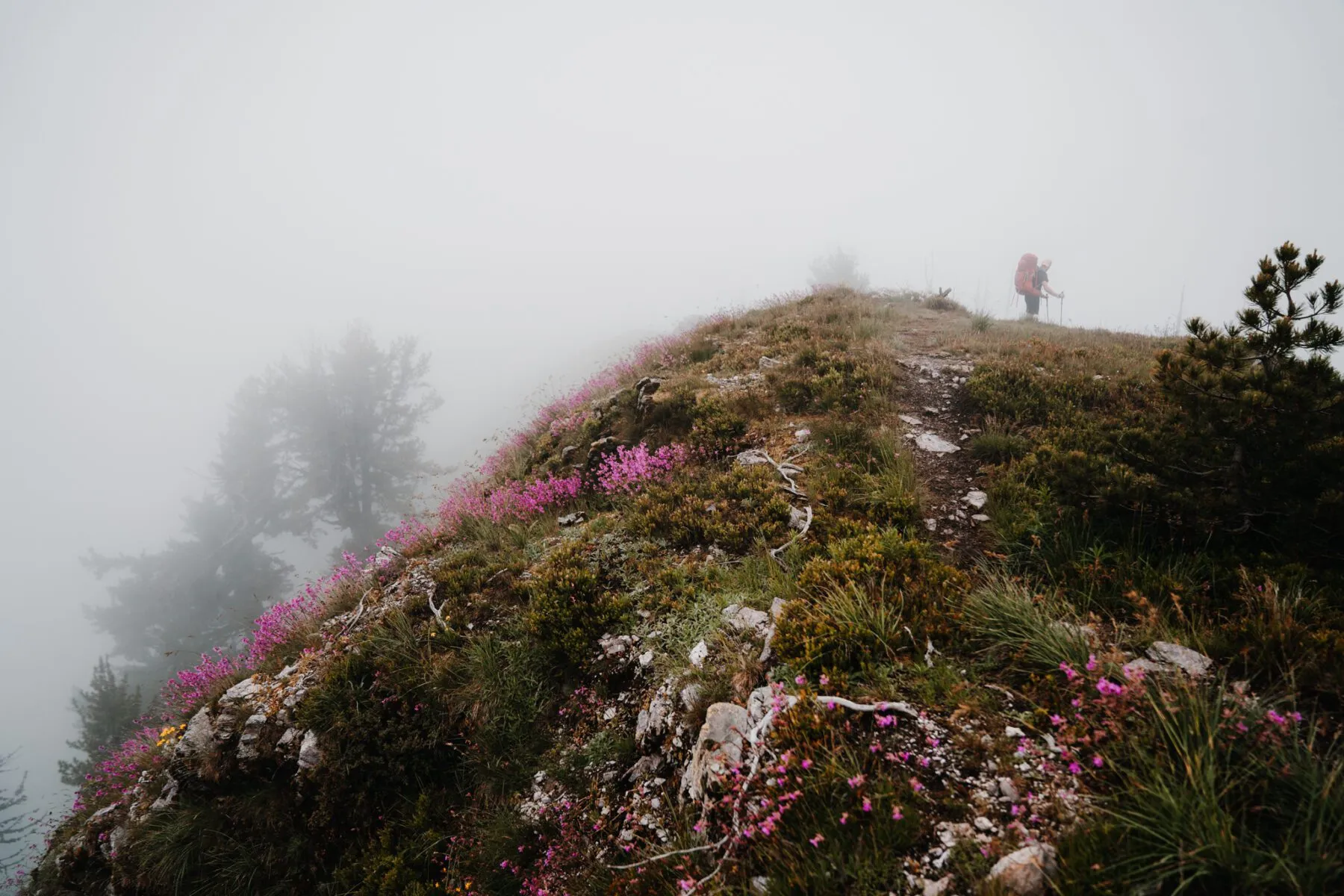 Mist op het eerste uitzichtpunt van The Balkan Trail