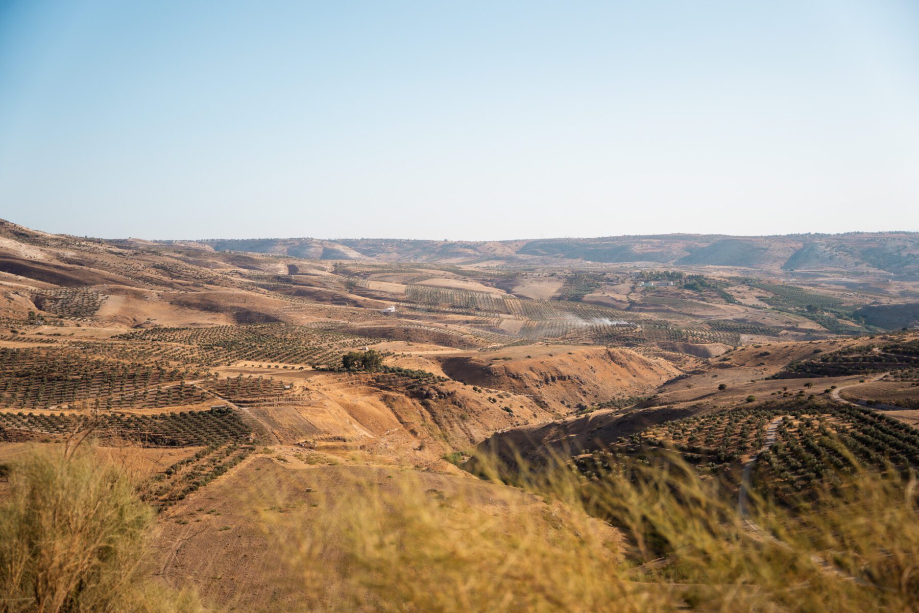 de eerste meters op de Jordan Trail