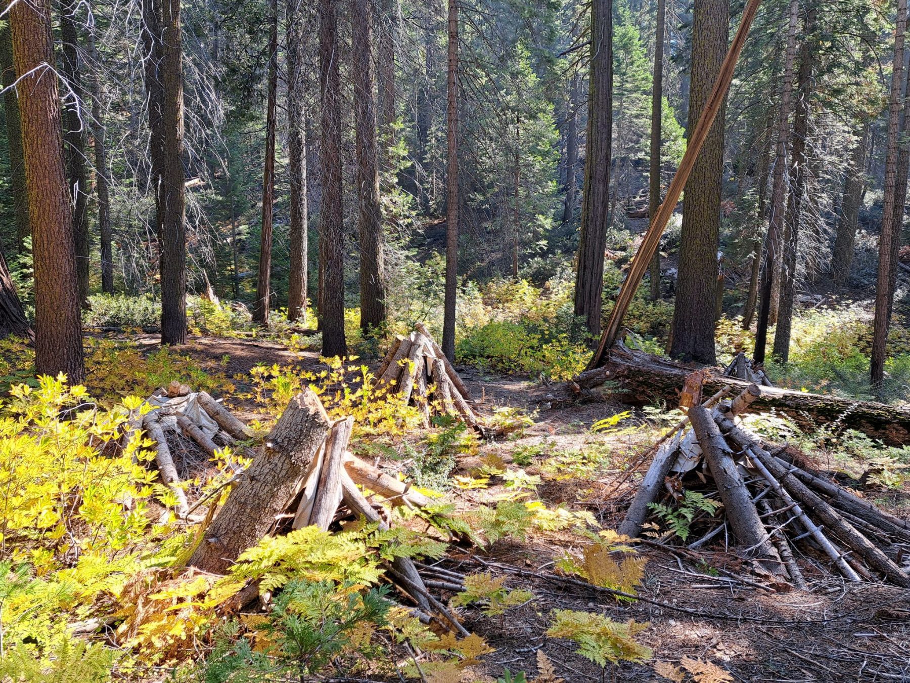 Voorbereiding op control burns in Kings Canyon National Park in Californië