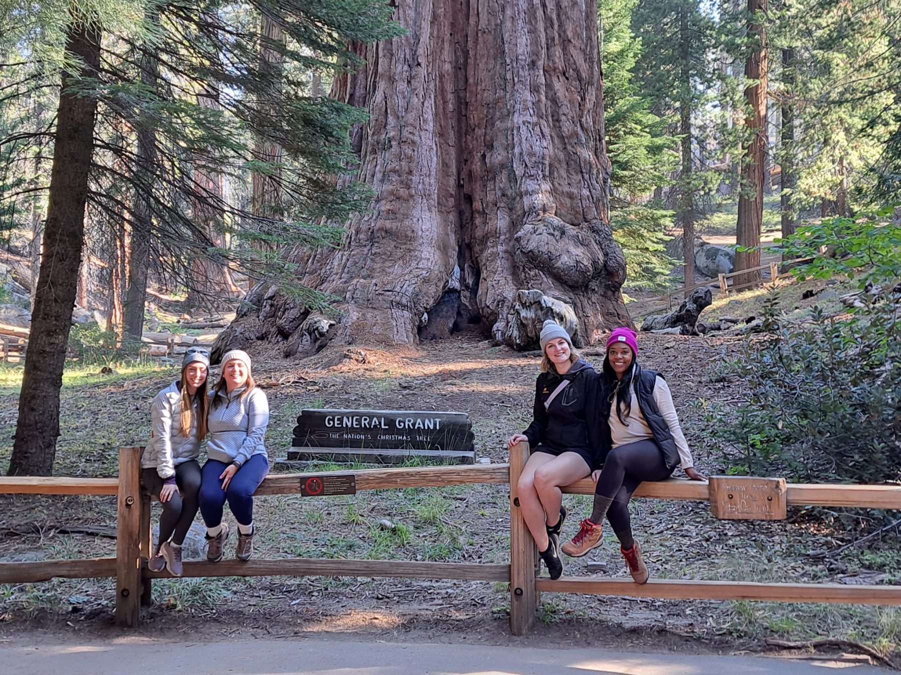 Hikers bij General Grant in Kings Canyon National Park in Californië