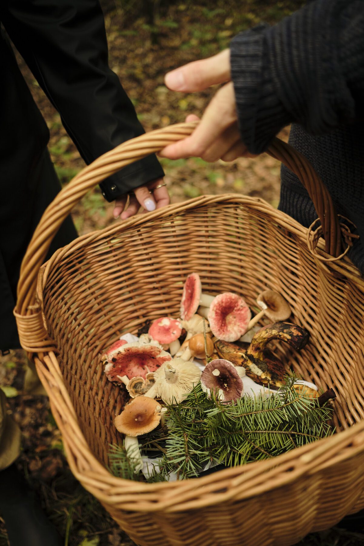 De paddenstoelen oogst tijdens onze wildplukwandeling in Travelin laarzen