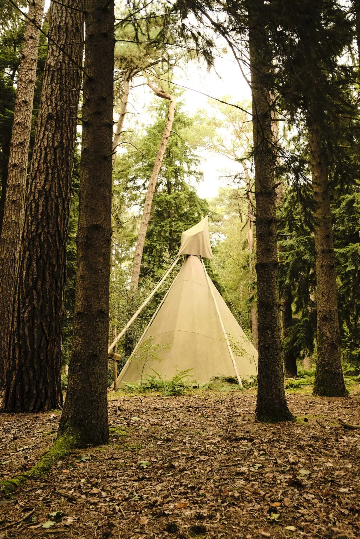 Na een boswandeling op onze Travelin laarzen slapen we in een tipitent in het bos