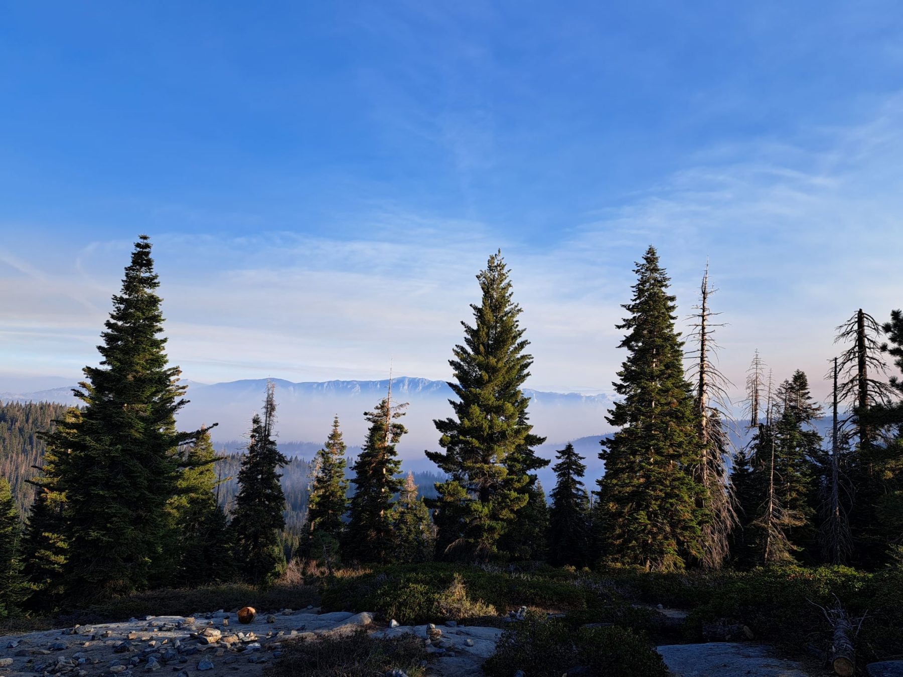 Uitzicht over Kings Canyon National Park vanuit de weg naar Sequoia National Park in Californië