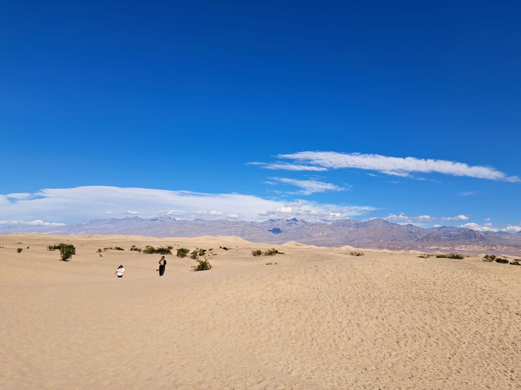 Zandduinen Death Valley