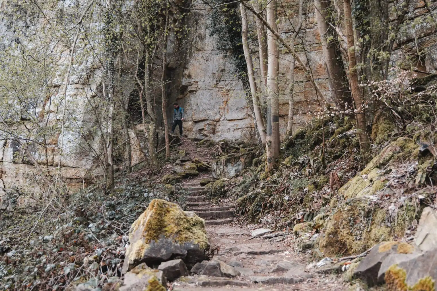 Deel van de Mullerthal Trail in Luxemburg, één van de mooiste hikes in Europa.