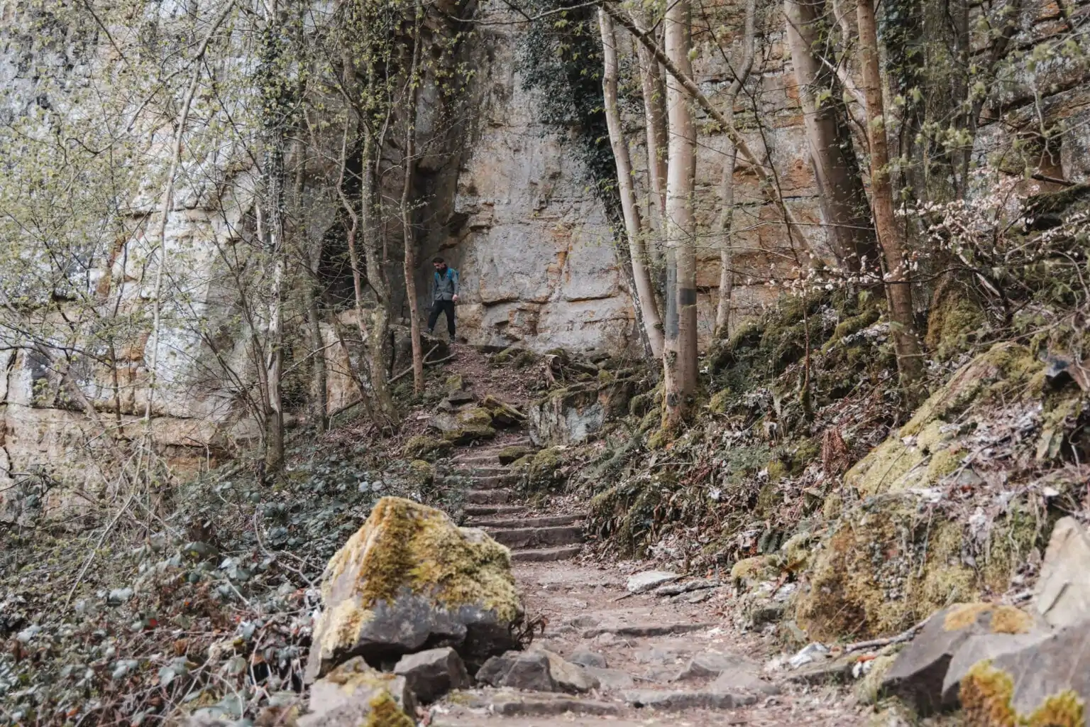 Deel van de Mullerthal Trail in Luxemburg, ÃƒÆ’Ã†â€™Ãƒâ€ Ã¢â‚¬â„¢ÃƒÆ’Ã¢â‚¬Â ÃƒÂ¢Ã¢â€šÂ¬Ã¢â€žÂ¢ÃƒÆ’Ã†â€™ÃƒÂ¢Ã¢â€šÂ¬Ã…Â¡ÃƒÆ’Ã¢â‚¬Å¡Ãƒâ€šÃ‚Â©ÃƒÆ’Ã†â€™Ãƒâ€ Ã¢â‚¬â„¢ÃƒÆ’Ã¢â‚¬Â ÃƒÂ¢Ã¢â€šÂ¬Ã¢â€žÂ¢ÃƒÆ’Ã†â€™ÃƒÂ¢Ã¢â€šÂ¬Ã…Â¡ÃƒÆ’Ã¢â‚¬Å¡Ãƒâ€šÃ‚Â©n van de mooiste hikes in Europa.