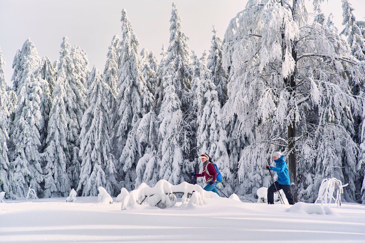 Winterwandelen in Duitsland op de Goldsteig