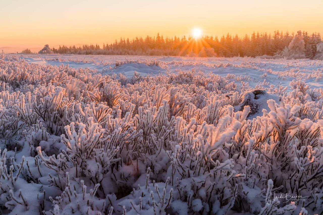 Winterwandelen in Duitsland over de Top Trails