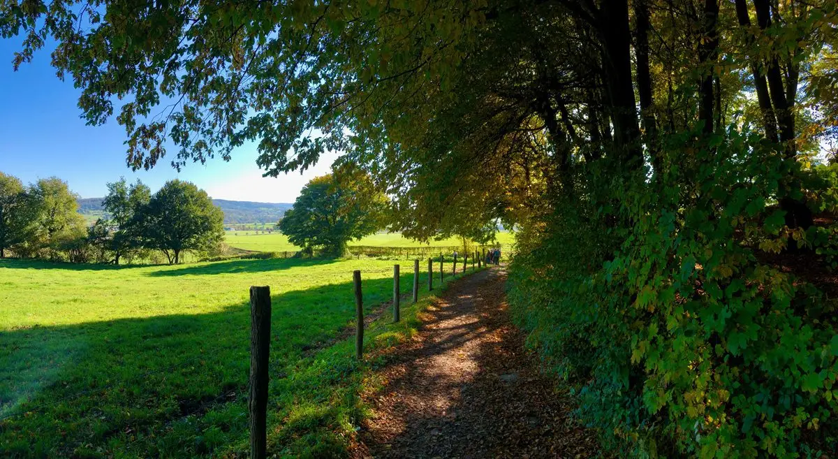 Een rondje Limburg staat op de longlist van beste wandelroutes in de Benelux 2024