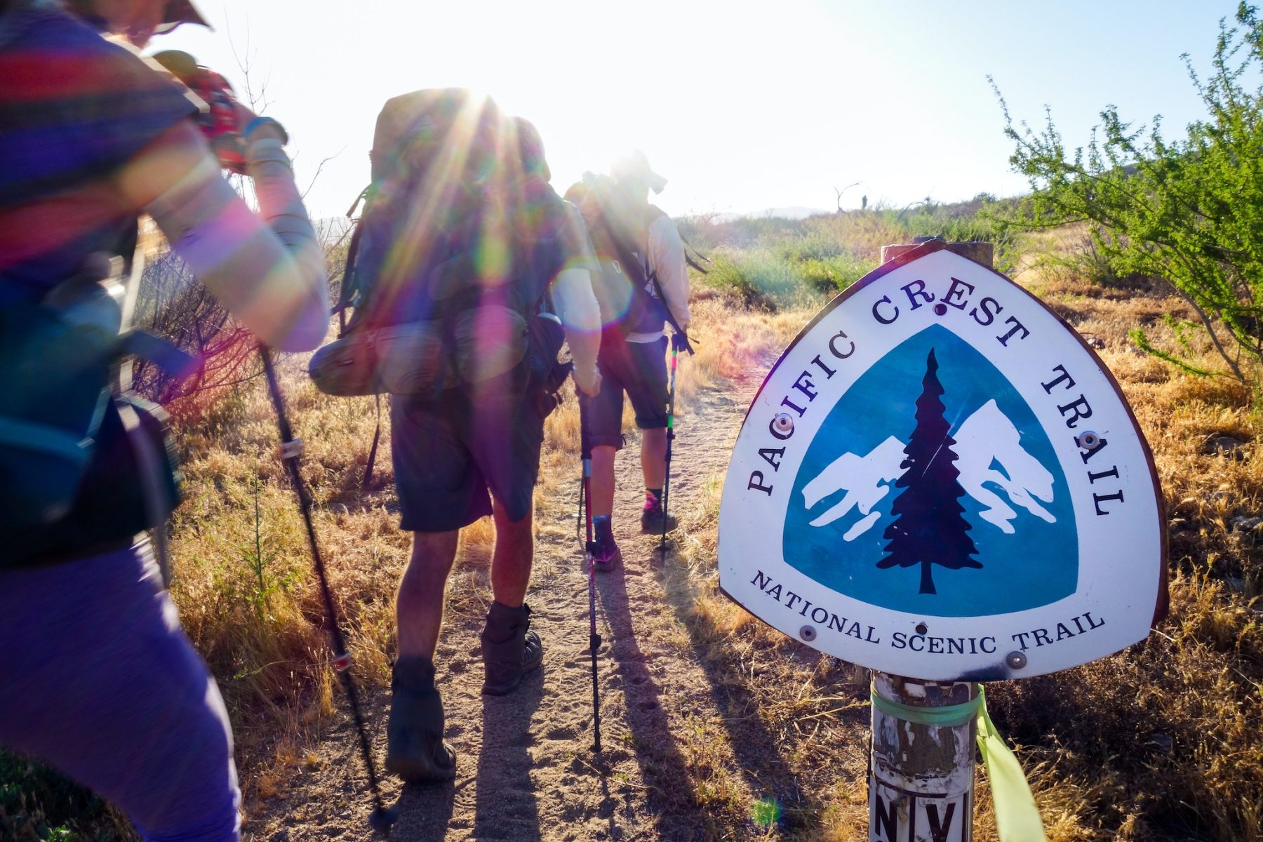 Pacific Crest Trail is een van de bekendste thru-hikes in Amerika