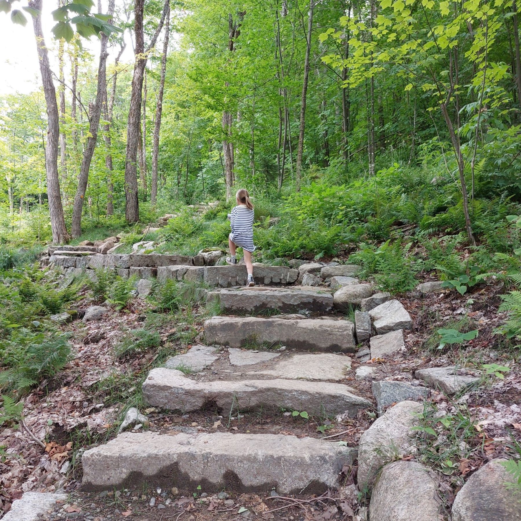 Wandeling op Mount van Hoevenberg is ook leuk met kinderen. Lake Placid, Adirondacks New York, Verenigde Staten