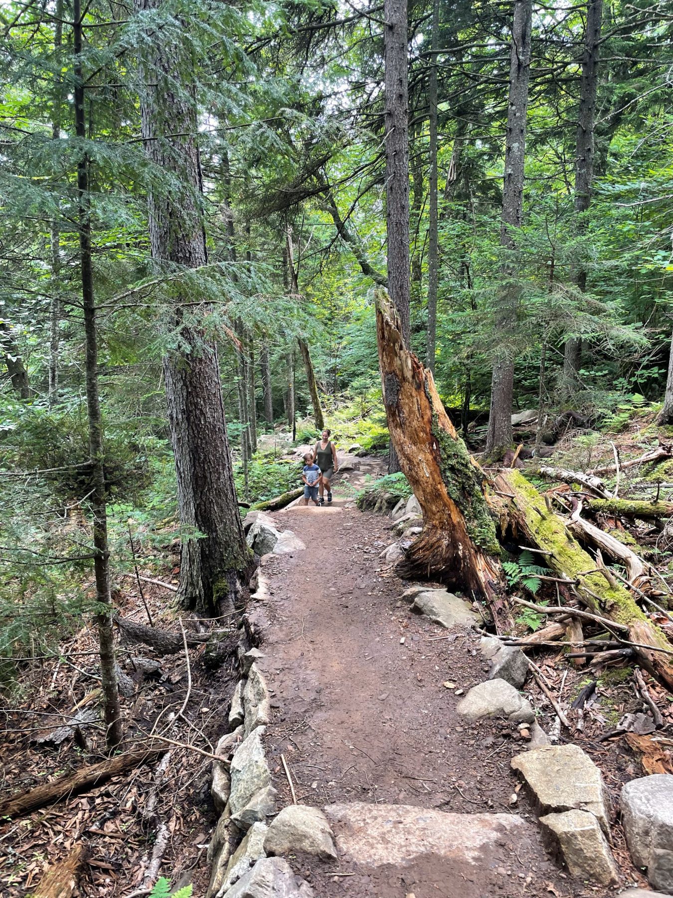 Wandelen over de paden van Mount van Hoevenberg, Adirondacks, Lake Placid