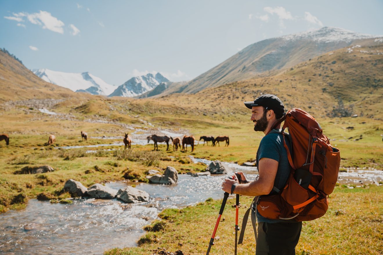 Hiken in Kazachstan paarden