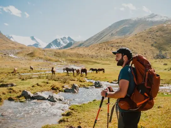 Hiken in Kazachstan paarden